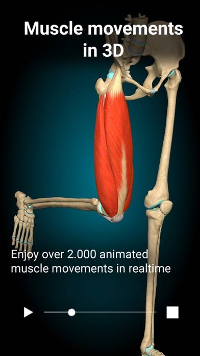 Anatomy Learning Schermata dell'app #1