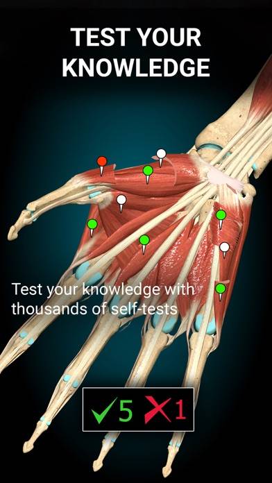 Anatomy Learning Captura de pantalla de la aplicación #2