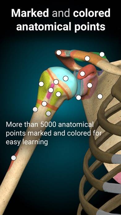 Anatomy Learning Captura de pantalla de la aplicación #4