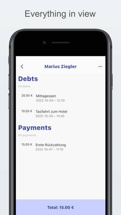Debt Manager Pro App screenshot #2