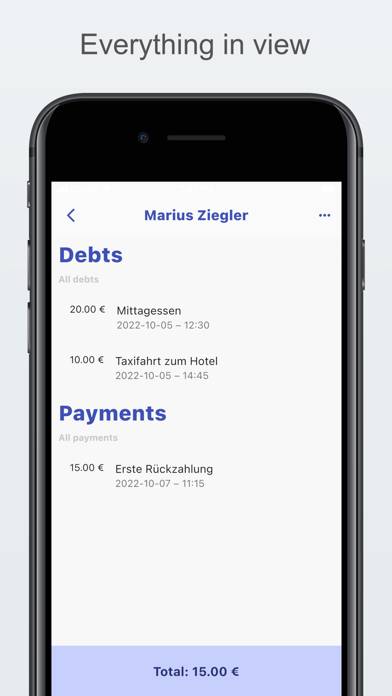 Debt Manager Pro App screenshot