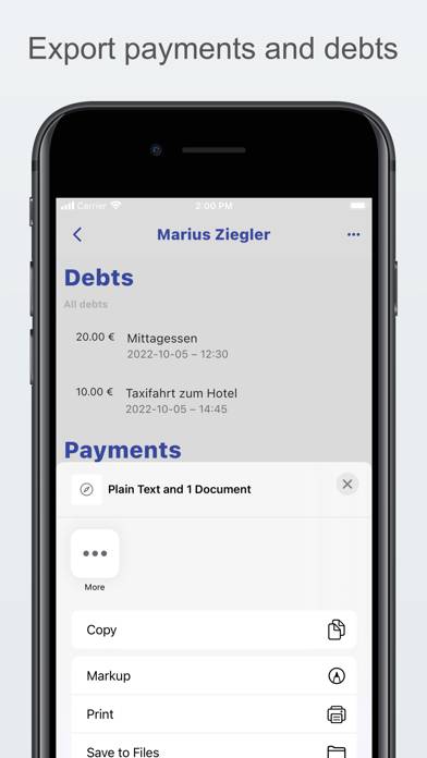 Debt Manager Pro App-Screenshot #3