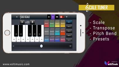 Solo Scale Controller