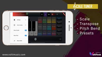 Solo Scale Controller Capture d'écran de l'application
