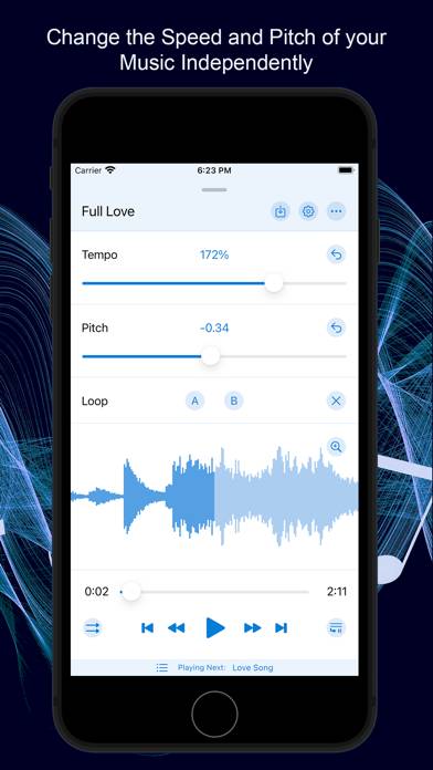 Music Speed Changer ▶▶▶ screenshot