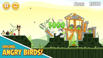 Rovio Classics: Angry Birds screenshot #2