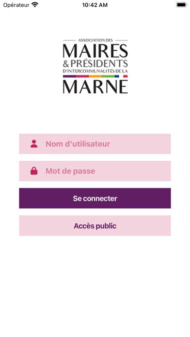 AMM 51