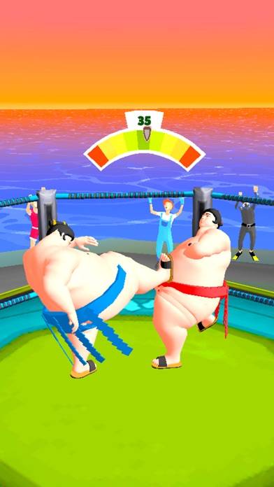Sumo Fight 3D App screenshot #2