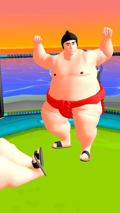 Sumo Fight 3D App screenshot #5