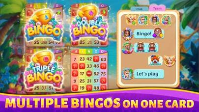 Bingo Rush App screenshot #4