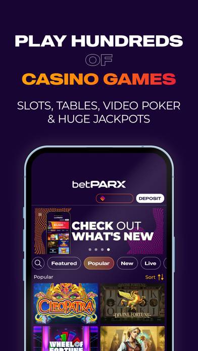 betPARX NJ screenshot