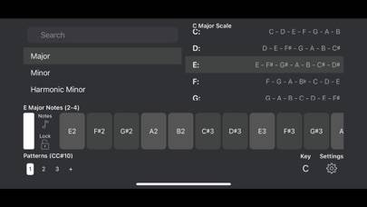 ScaleBud 2 AUv3 MIDI Keyboard Capture d'écran de l'application #4