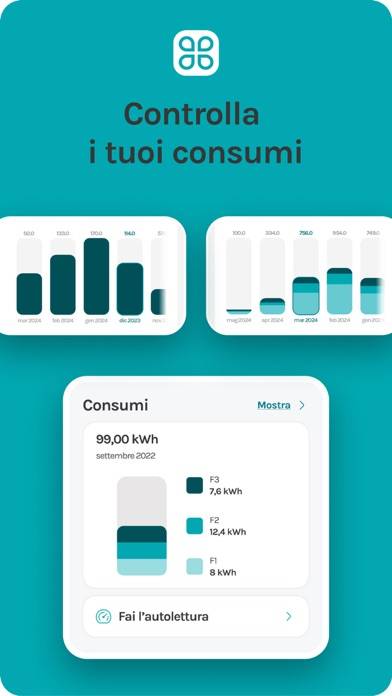 MyAcea Energia Schermata dell'app