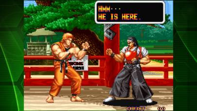 Art Of Fighting Aca Neogeo App screenshot #3