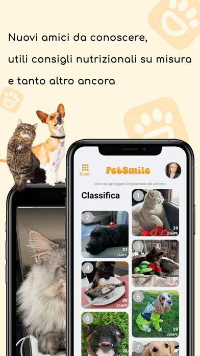 Pet Smile Schermata dell'app #3