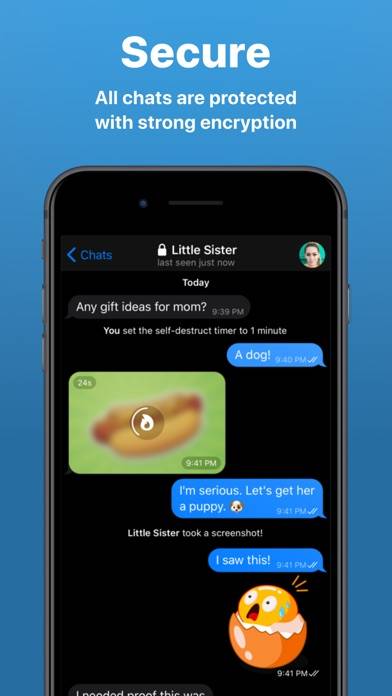 Nicegram Messages for Telegram App preview #5
