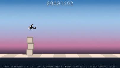 Backflip Endless skärmdump