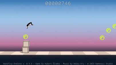 Backflip Endless skärmdump av spelet