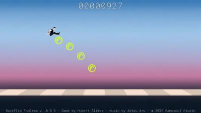 Backflip Endless skärmdump av spelet