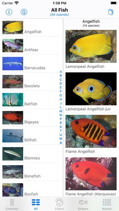 Tahiti Fish ID Capture d'écran de l'application #2