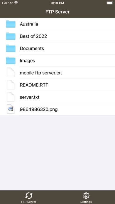GoFTP Server Capture d'écran de l'application #1