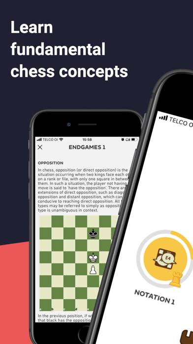ChessNuts Juegos, Rompecabezas captura de pantalla