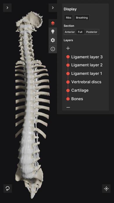 Biomechanics of the Spine Lite Captura de pantalla de la aplicación #1