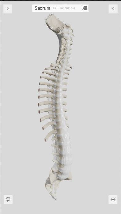 Biomechanics of the Spine Lite Capture d'écran de l'application #2