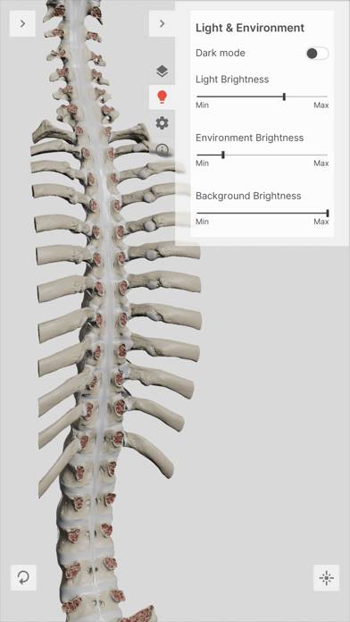 Biomechanics of the Spine Lite Uygulama ekran görüntüsü #5