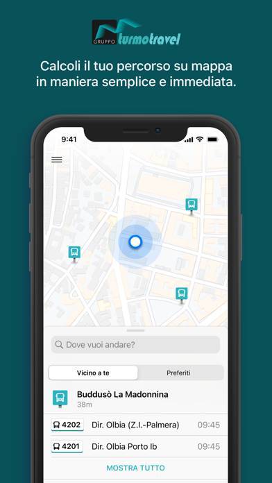 Turmo Travel immagine dello schermo