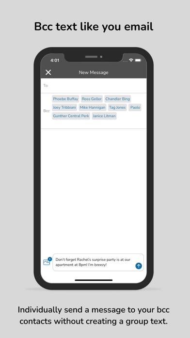 Bcc Text App screenshot #1