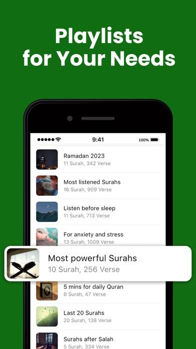 Quran 360: English المصحف Capture d'écran de l'application #5
