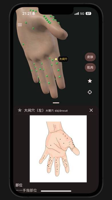 董氏奇穴-3d互动版 App screenshot #4