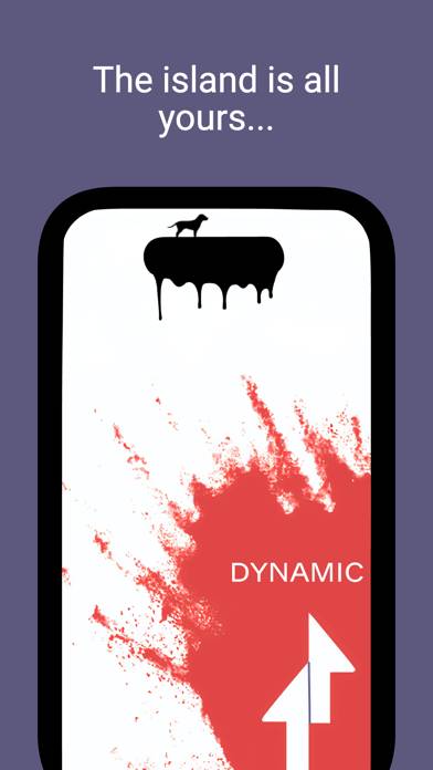 Dynamic Notch: Wallpaper App