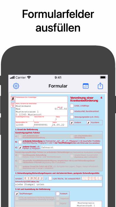 DENStaxi App-Screenshot