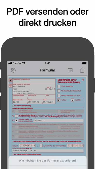 DENStaxi App-Screenshot