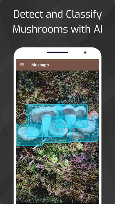 Mushrooms App screenshot #1