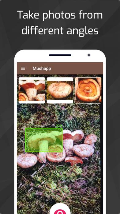 Mushrooms Captura de pantalla de la aplicación #2