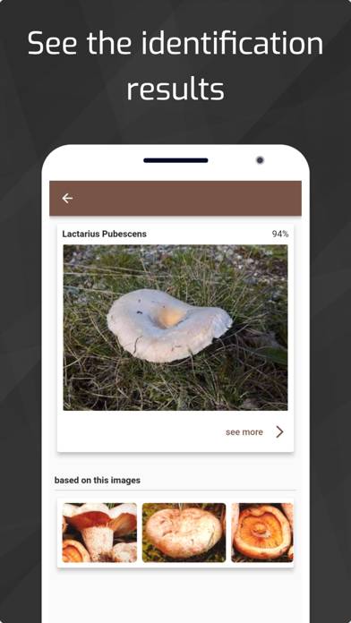 Mushrooms Captura de pantalla de la aplicación #3