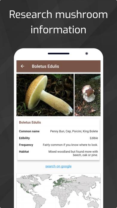 Mushrooms Captura de pantalla de la aplicación #5