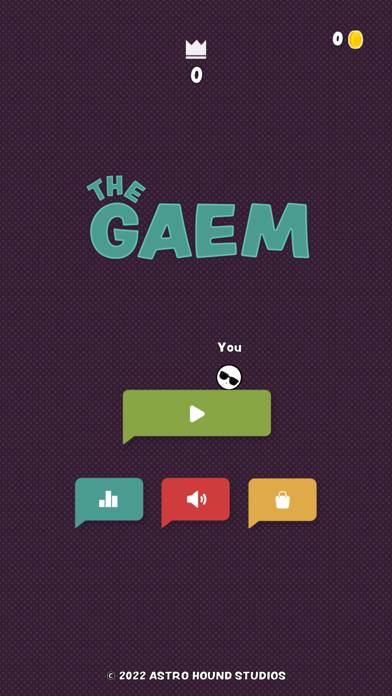 The Gaem