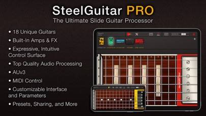 Steel Guitar PRO Скриншот приложения #1