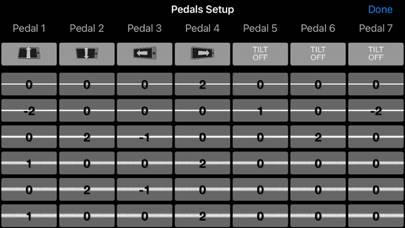 Steel Guitar PRO App-Screenshot #6