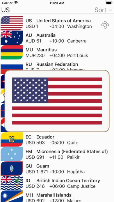 Country Code (Cities) Schermata dell'app #4