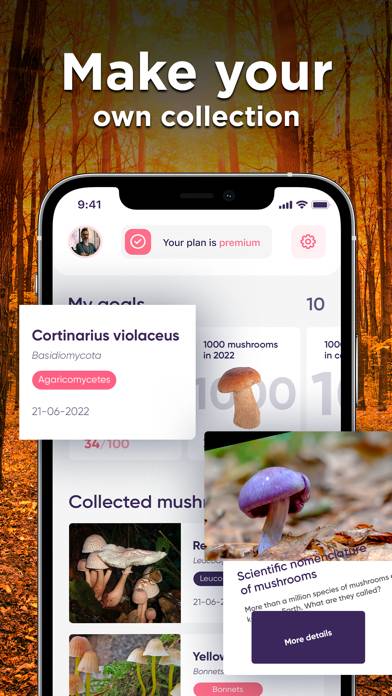 Mushroom ID: Fungus Identifier App skärmdump #3