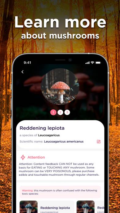 Mushroom ID: Fungus Identifier App skärmdump #4