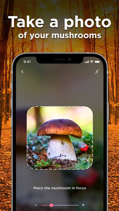 Mushroom ID: Fungus Identifier App skärmdump #5