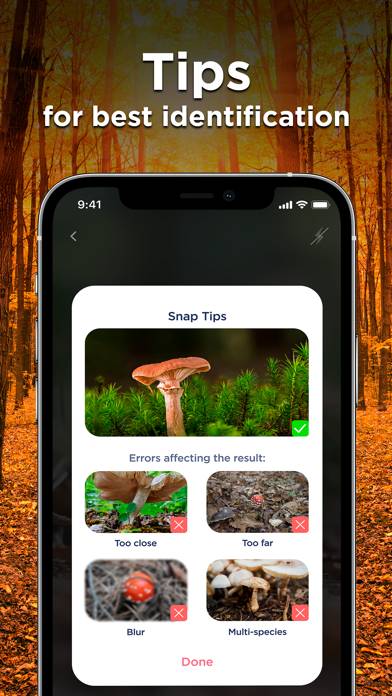Mushroom ID: Fungus Identifier App skärmdump #6