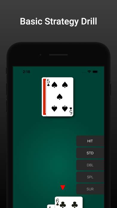 Blackjack Hi-Lo Card Counting App screenshot #3