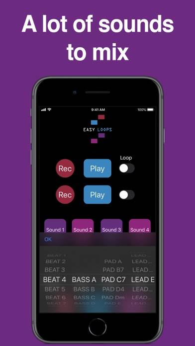 EasyLoops: for music creators App screenshot #2